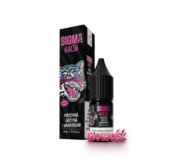 26 Salt Sigma 20mg - Mrożona Jeżyna Winogrono